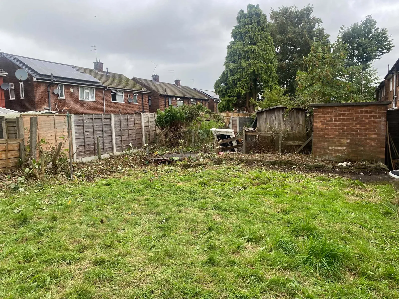 Back lawn cut short after a garden clearance, with fences, a shed and trees behind