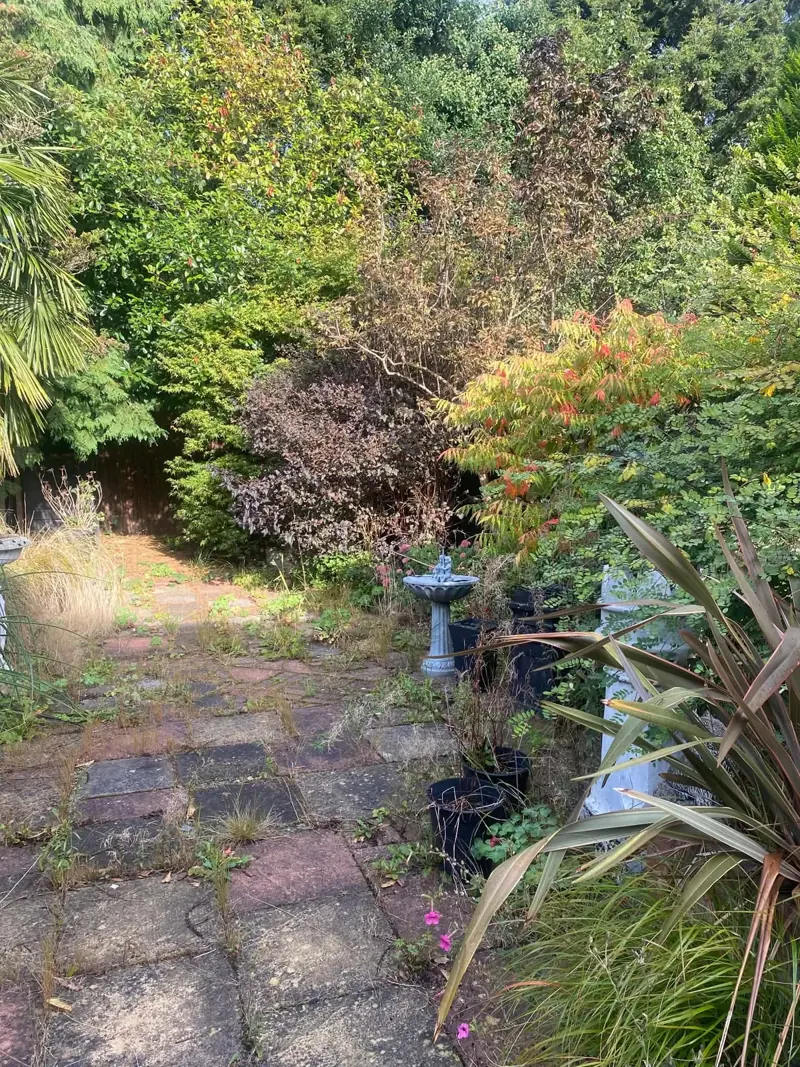 Weedy paving slabs in a Bredbury back garden with a birdbath, black pots and a red-leaved shrub crowding the path