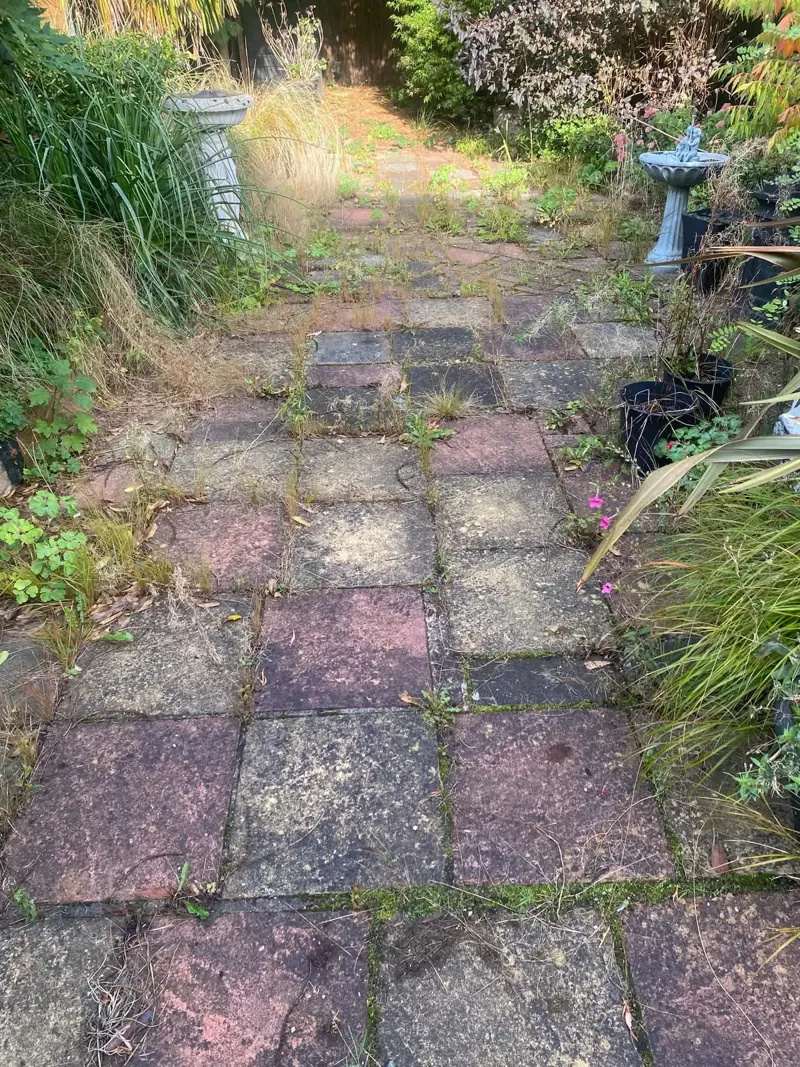 Paving slabs with grass and weed growth in the joints and a stone birdbath among tall grasses on the left