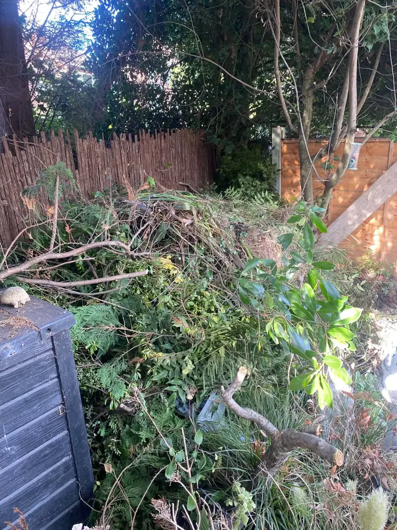 Heap of cut branches and clippings against a garden fence during a one-day garden clearance in Bredbury
