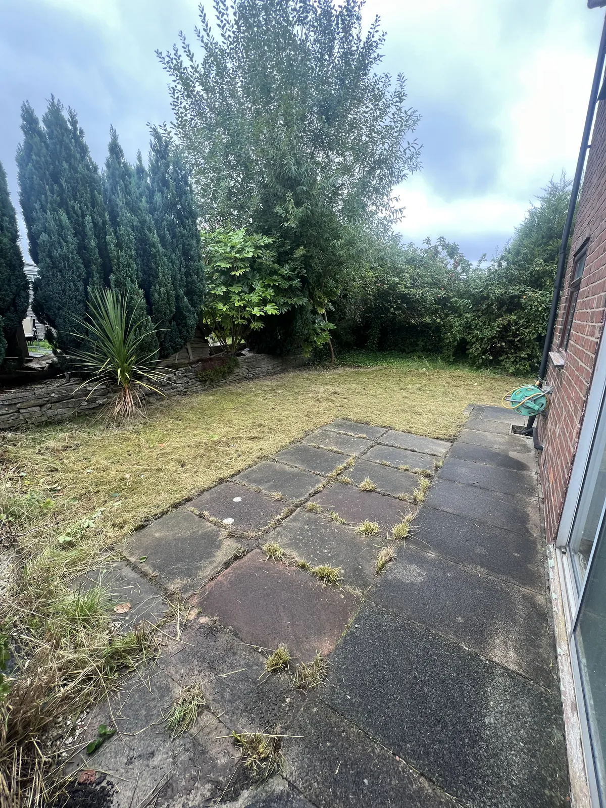 Small lawn and slab path after a cut, with tall conifers and trees along the back boundary