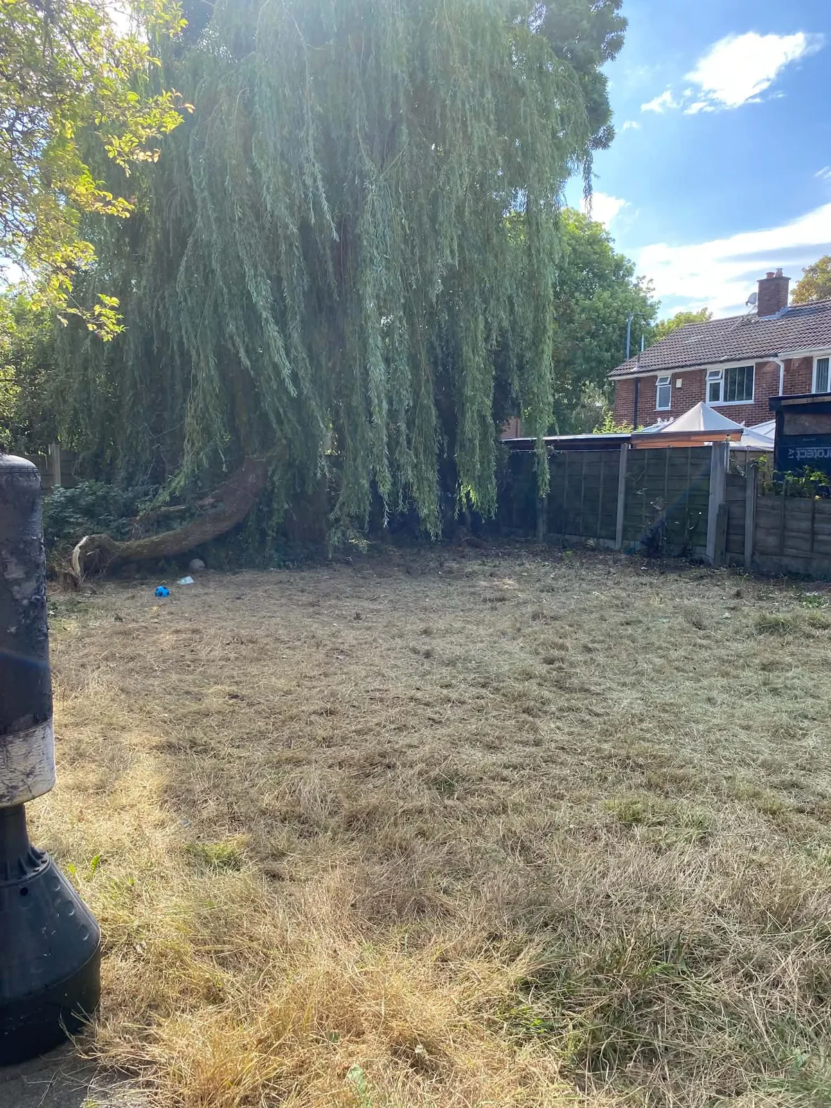 Back garden lawn cut to short dry grass beneath a large weeping willow, with a punch bag at the left edge