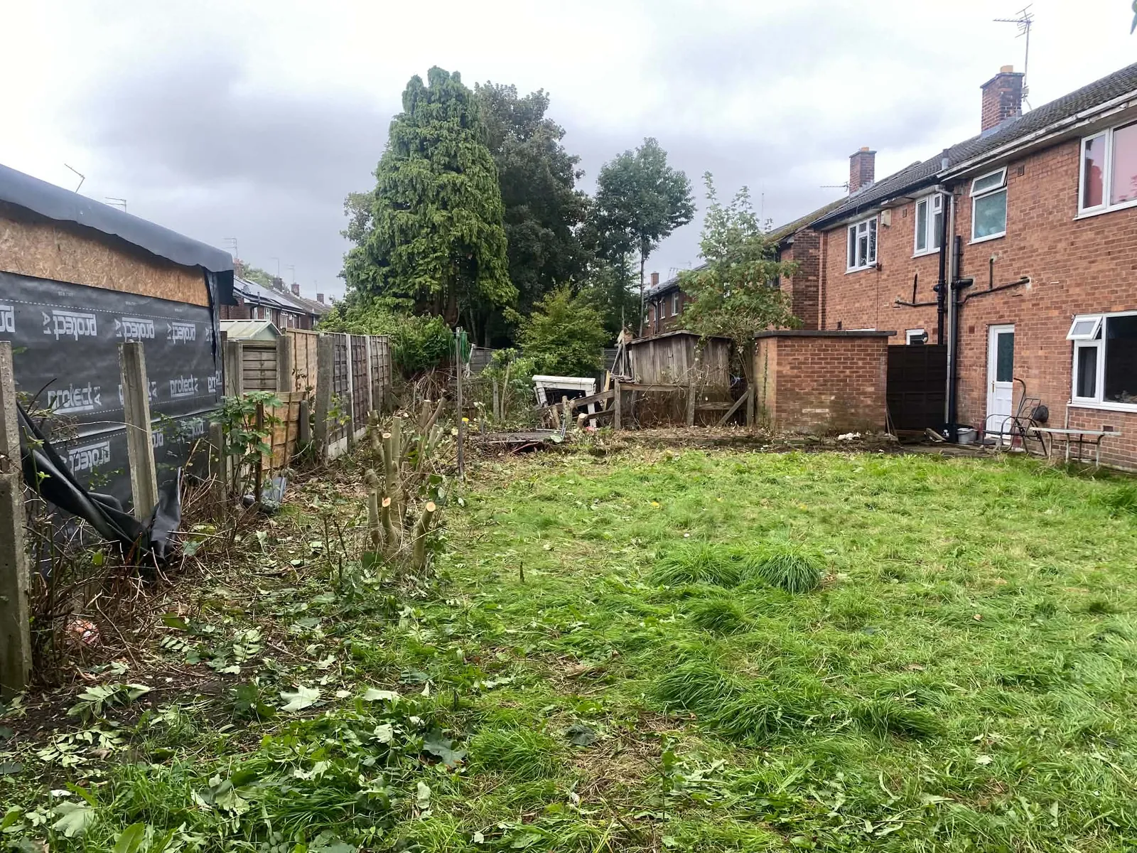 Cleared back garden with cut lawn and trimmed borders, shrubs along the fence and houses beyond