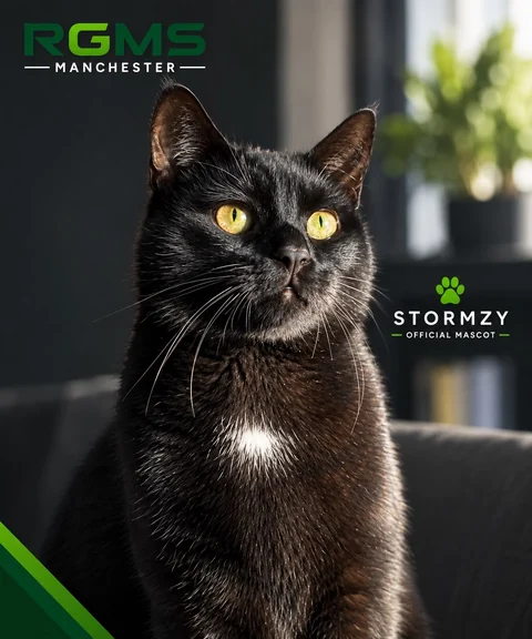 Stormzy, Charlie’s black cat and the RGMS company mascot